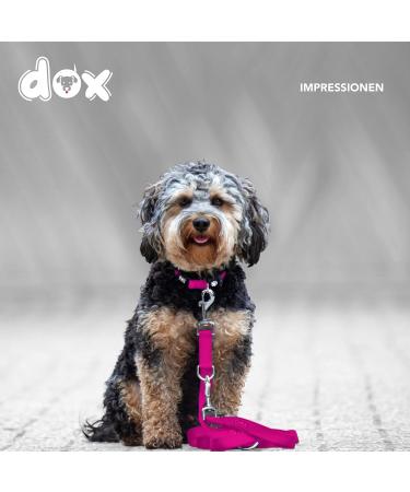 DDOXX Airmesh Dog Leash - 2m 3-Way Adjustable for All Dog Sizes - S (Pink) - Durable & Comfortable Pet Leash - Buy Online on GoSupps.com