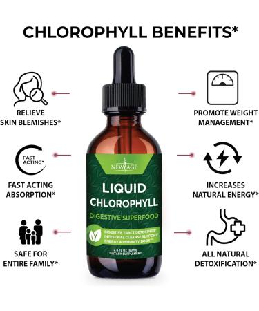 Chlorophyll Liquid Drops - Natural Energy Booster - Digestion & Immune Support - Internal Deodorant - Liver Function - 2 Fl Oz (1 Pack) - Buy Online on GoSupps.com