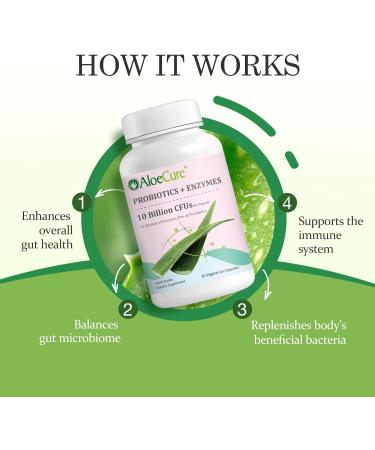AloeCure Daily Probiotics 10 Billion CFU for Digestive Support 8 Strains 6 Prebiotics & Enzymes - Digestive Supplement with Bromelain for Women & Men - Gut Support Digestive Relief 30 Caps x 6btls - Buy Online on GoSupps.com
