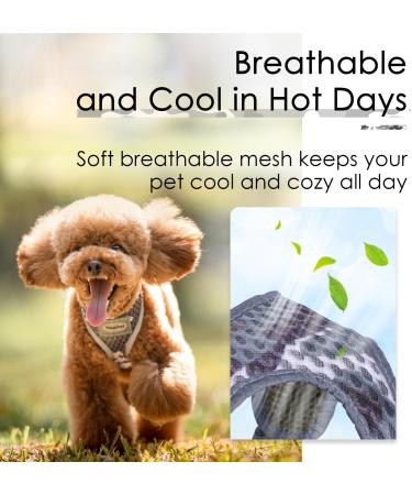 ThinkPet No-Pull Dog Harness & Leash Set - Adjustable Breathable Safety Harness for Small Medium & Large Dogs - Reflective & Comfortable (Gray) - Buy Online on GoSupps.com