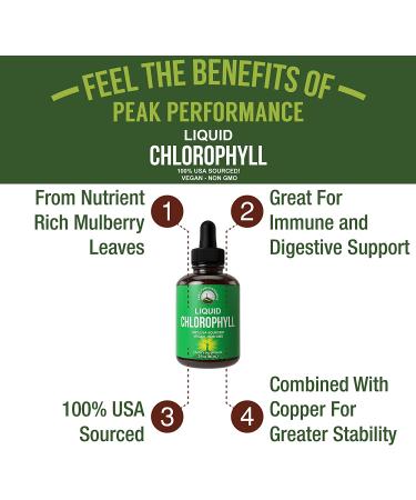 Chlorophyll Liquid Drops - Vegan, Non-GMO, Gluten-Free Supplement for Energy, Skin Care, and Immune Support - Natural Deodorant - USA Sourced - Buy Online on GoSupps.com