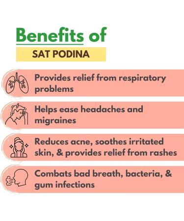 kk Natural Sat Pudina | DIY Balm (100g) - Buy Online on GoSupps.com