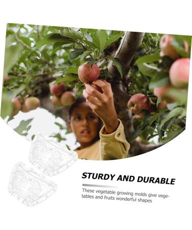Kisangel 2pcs Ingot Shaped Mold Vegetables Cucumber Mold Fruit Growing Shaper Gardening Supplies Stereotypes - Buy Online on GoSupps.com