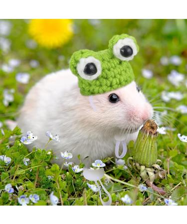 Xuniea 4 Pieces Mini Hand Knitted Animal Hats - Frog, Rainbow, Carrot - Adjustable Strap for Hamster, Guinea Pig, Lizard - Christmas Party Costume Accessories - Buy Online on GoSupps.com