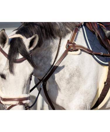 ARBO-INOX Breastplate Leather 5-Point Harness with Martingale - Cob Black | International Shipping Available - Buy Online on GoSupps.com