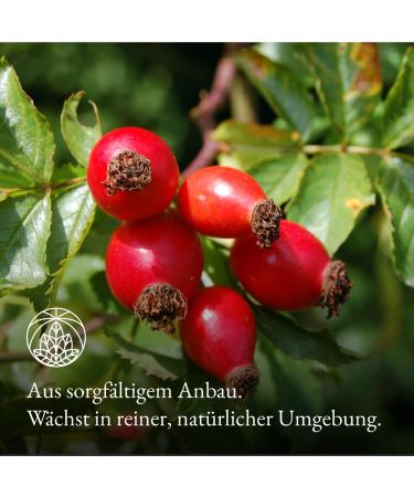 Hagebutte Tea Monte Nativo 1 kg | 100% Pure & Natural Rose Hip | Aromatic Herbal Fruit Tea | Perfect Tea Gift | Iced Tea Rose Hip - Buy Online on GoSupps.com