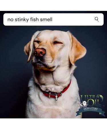 Ultra Oil Skin and Coat Supplement for Dogs & Cats | Hemp Seed, Flaxseed, Grape Seed & Fish Oil | Relief from Dry Itchy Skin, Dandruff, Allergies | 32oz - Buy Online on GoSupps.com