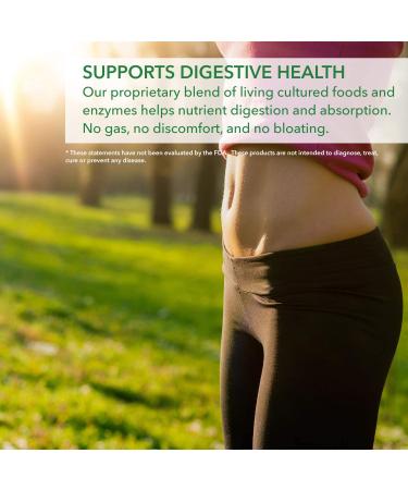 PlantFusion Complete Organic Vegan Protein Powder - 1 LB Vanilla Chai - Gluten Free & USDA Organic - Buy Online on GoSupps.com