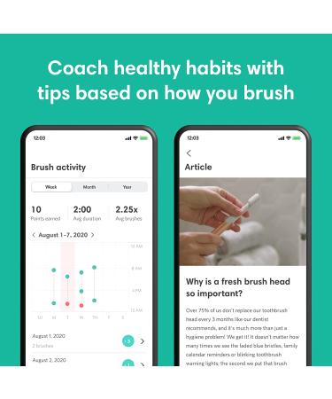 Quip Adult Smart Electric Toothbrush - Sonic with Bluetooth, Travel Cover, Soft Bristles & Timer - All-Black - Buy Online on GoSupps.com