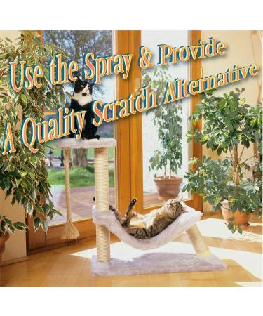 Pet MasterMind Claw Withdraw Cat Scratch Training Spray - Indoor Anti-Scratch Repellent - 4oz - Buy Online on GoSupps.com