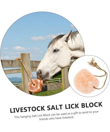 FOMIYES Animal Lick Salt Block Salt Licking Block Livestock Supply Nutrition Farm Animals Salt Horse Salt - Buy Online on GoSupps.com