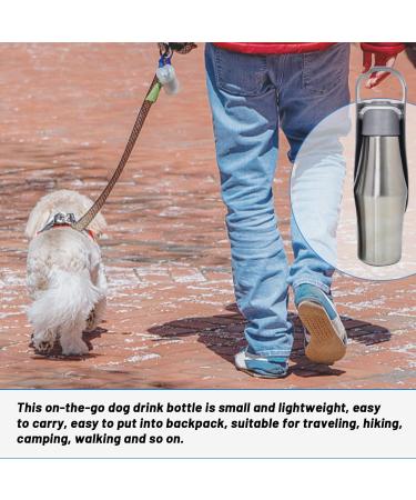 Zoneyan 750ml Stainless Steel Dog Water Bottle - Portable Pet Drinking Bottle for Travel Parks Camping & Hiking - Buy Online on GoSupps.com
