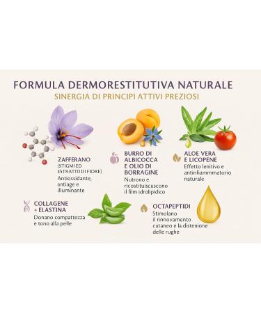 Centisia Creights cream 24 h Dermorestitute saffron 50 ml - Buy Online on GoSupps.com