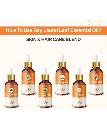 Crysalis Bay Laurel Leaf (Laurus Nobilis) Oil|100% Pure & Natural Undiluted Essential Oil Organic Standard for Skin & Hair Care|Therapeutic Grade Oil- 100ml with Dropper Bay Laurel Leaf 100 ml (Pack of 1) - Buy Online on GoSupps.com