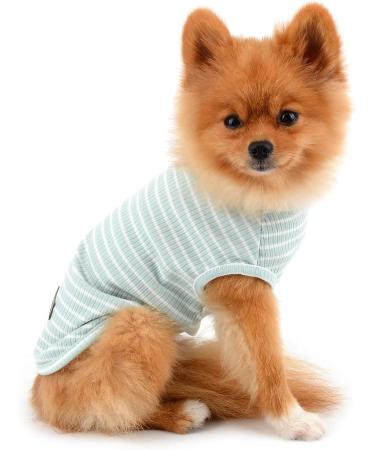 Paidful Summer Striped T-Shirt for Small Dogs - 100% Cotton Sleeveless Chihuahua & Yorkshire Tee - Green - M (Back Length: 25cm Bust: 37cm) - International Shipping Available - Buy Online on GoSupps.com