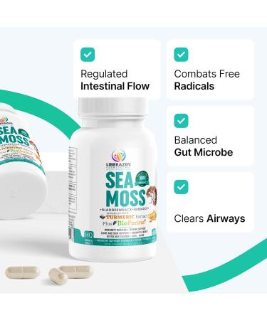 Organic Irish Sea Moss Pills - Wildcrafted Dr Sebi Inspired Seamoss Blend with Turmeric Burdock Root & Bladderwrack Enhanced with Black Pepper - 60 Capsules 60 Count (Pack of 1) - Buy Online on GoSupps.com