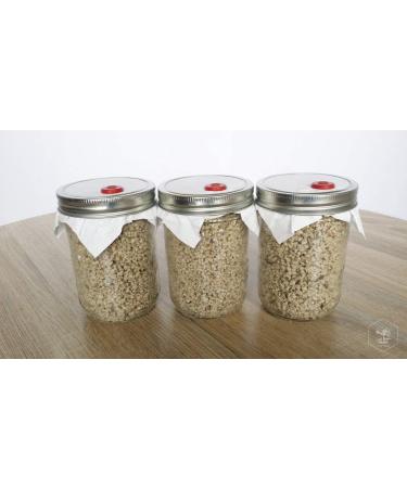 BRF PF Tek Brown Rice Flour Mushroom Substrate - 1/2 Pint Jar - Buy Online on GoSupps.com