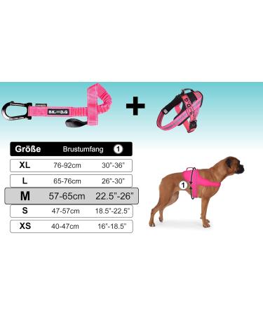 Premium Dog Leash & Harness for Biking - Patented Bike & Dog Set with Unique Dishes | Shop Now! - Buy Online on GoSupps.com