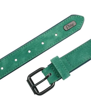 Didog Soft Leather Padded Custom Dog Collar with Personalized Nameplate and D Ring Engraved Dog Collars for Small Medium Large Dogs Green S S:Fit 25-30cm neck Width 1.5cm Green - Buy Online on GoSupps.com