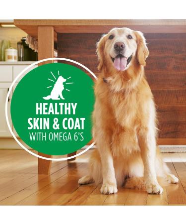 IAMS Proactive Health Wet Dog Food Adult Chicken & Whole Grain Rice Classic Ground 369g Can (6 Pack) Pate Chicken & Rice 369 g (Pack of 6) - Buy Online on GoSupps.com