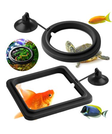 Molain Fish Feeding Ring, 2 Pieces Fish Feeder Aquarium Fish Turtle Tank Accessories Food Feeder Circle for Guppy, Bettas, Goldfish, Turtle black