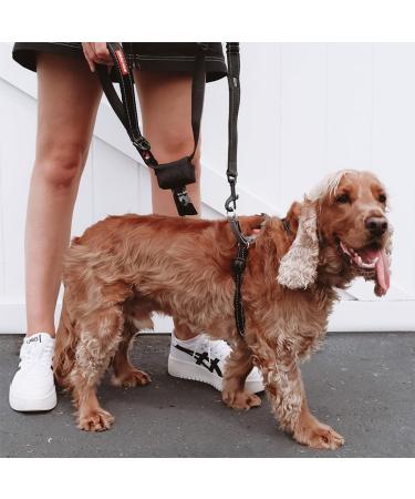 Ezydog Anti Pull Dog Harness - Reflective Size Adjustable - Training for Small Medium & Large Dogs (XL Red) - Buy Online on GoSupps.com