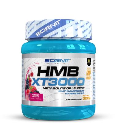 HMB XT 3000 - HMB supplement - HMB powder - 3000 mg HMB powder with taste - with glutamine magnesium vitamin B6 and vitamin D - Forest fruits taste
