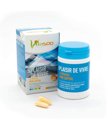 Vita PLAISIR DE VIVRE SOD de melon Compl ment alimentaire pour le bien- tre de l esprit et du corps fatigue moral Vitamine B6 B9 B12 Zinc Levure de S l nium 60 G lules