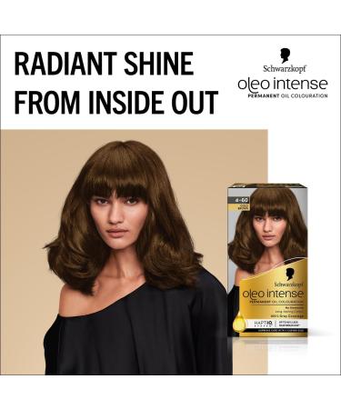 Schwarzkopf Oleo Intense Permanent Gold Brown Hair Dye 115g - Pack of 1 - Buy Online on GoSupps.com