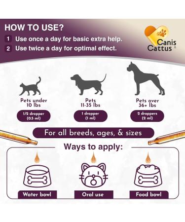 Milk Thistle for Cats & Dogs | Liver Support for Dogs and Cats | Milk Thistle Supplement | Kidney Support | Natural Composition | 2 Packs - Buy Online on GoSupps.com