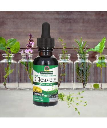 Buy Nature's Answer Cleavers (Galium Aparine) 2000 mg - 1 fl oz (30 ml) | Herbal Supplement - Buy Online on GoSupps.com