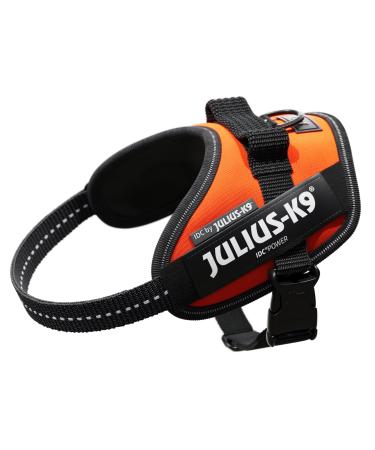 IDC Powerharness Size: XS/Mini-Mini UV Orange UV Orange XS/Mini-Mini - Buy Online on GoSupps.com