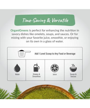 Organixx Greens Superfood Powder with Probiotic Digestive Enzymes Gluten Free Vegan Daily Super Greens Powder Supplement Drink Mix for Gut Health Immune Support & Energy Organic Non GMO 10 oz - Buy Online on GoSupps.com