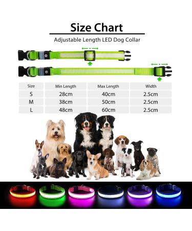 LED Light Up Dog Collar - USB Rechargeable, Waterproof, Adjustable - Green - M(38-50cm/15-19.7inch) - Buy Online on GoSupps.com