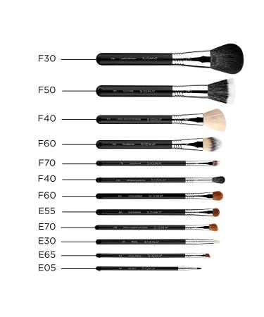Sigma Essential Brush Kit - 12-Piece Professional Makeup Brush Set - Buy Online on GoSupps.com