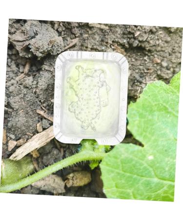 SUPVOX 2pcs Fruit Shaping Fruits Clear Creative Melon Shaper Stereotypes - Buy Online on GoSupps.com