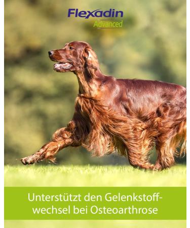 FLEXADIN ADVANCED Dog Joint Health Treats | Undenatured Collagen Type II (UC-II ) & Boswellia | 60 Count - Shop Internationally! - Buy Online on GoSupps.com