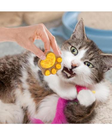 Paw Cat Treats - Cat Paw Biscuits Cat Treat - Healthy Cat Treats Paw Shape Cat Food Treats Cat Biscuits Dry Cat Treats Natural Training Biscuits Treats 1 count (Pack of 1) - Buy Online on GoSupps.com