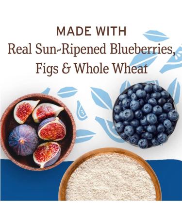 Natures Bakery Whole Wheat Fig Bars - 2 Twin Pack Boxes (64 Bars) - Blueberry & Raspberry Flavors - Vegan Non-GMO Healthy Snacks - Buy Online on GoSupps.com