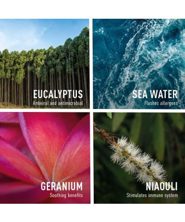 PURESSENTIEL - Respiratory Hypertonic Nasal Spray with 4 essential oils - Decongests the nose for easier breathing - Used to treat winter ailments and allergies - 100% from natural sources - 15ml - Buy Online on GoSupps.com