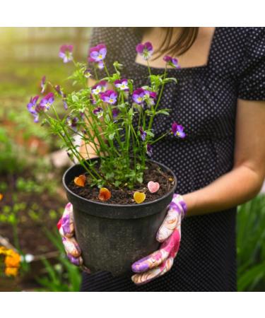 Tyrzol 20 Pcs Healing Crystals Natural Heart Stones Set - Gemstones for Stress Relief, Meditation, Yoga - Includes Storage Bag - Perfect Gift for Beginners - Buy Online on GoSupps.com