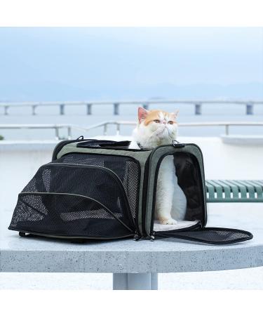 Petsfit Expandable Airline Approved Soft-Sided Cat Carrier M 17x11x11 - Green - Buy Online on GoSupps.com