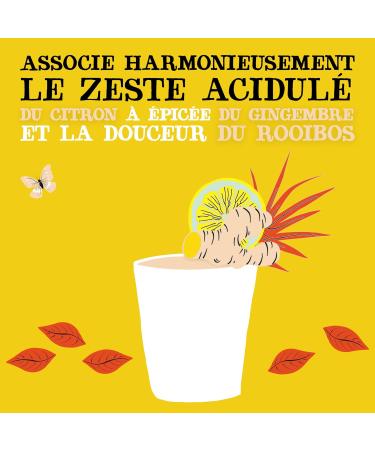 CLIPPER - Organic Refreshing Drink - Fusion Lemon Ginger Rooibos - No added sugar - 25cl x 12 - Buy Online on GoSupps.com