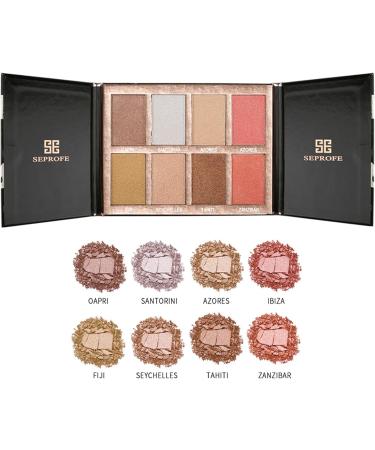 Welhammsae 8 Colors Blush Contour Highlighter Palette with Brush Blush and Bronzer Powder Palette Makeup Palette & Brush Professional Facial Beauty Makeup for Women Girls Palettebrushset-151 - Buy Online on GoSupps.com