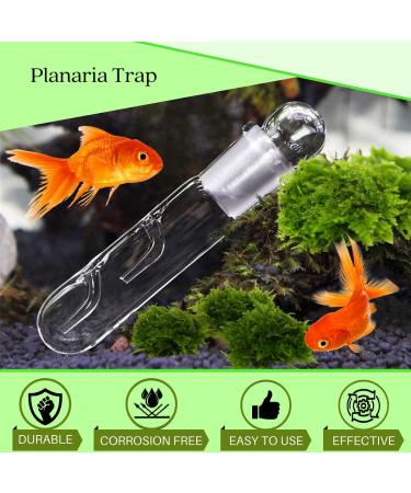 Crystal Red Shrimp Tank Planaria Trap - Bristle Worm Catcher for Cherry Shrimp, Dwarf Shrimp & Ghost Shrimp - Freshwater Cleaning Supplies - Buy Online on GoSupps.com