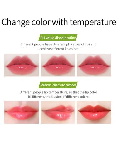 Kaynest Aloe Vera Lipstick Set-C - 2 Pack Moisturizing Lip Balm for Long Lasting Color Change - Buy Online on GoSupps.com
