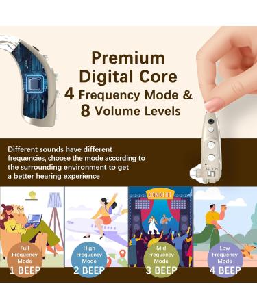 Delmicure 1710S Fully Digital Device - 16 Channels Rechargeable Noise Reduction & Adjustable Volume | International Shipping Available - Buy Online on GoSupps.com