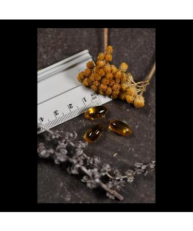 Solaray Oregano Oil 57mg | 70% Carvacrol | 60 Capsules | High Carvacrol Dietary Supplement | Laboratory Tested | Wild Harvested Antique Herb - Buy Online on GoSupps.com