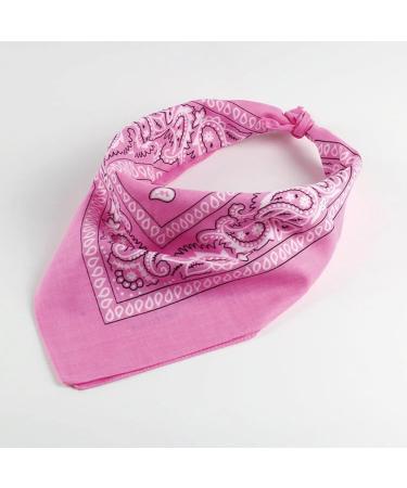 Awocan Pink Cowboy Hat & Bandana Set for Dogs & Cats | Perfect Pet Costume Cosplay & Vacation Accessory - Buy Online on GoSupps.com