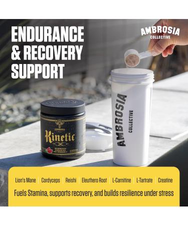 Ambrosia Kinetic - Organic Pre Workout Powder | Mushroom-Enhanced Natural Pre Workout | Nootropic Superfood Powder for Clean Energy Focus Recovery | 24 Servings | Tropical Lime - Buy Online on GoSupps.com